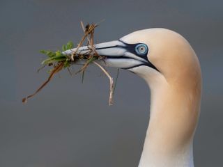 A day in the life of wildlife photographer Tesni Ward, image 15