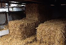 straw-barn-2.jpg