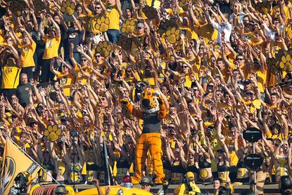 Fans cheer on the University of Missouri Tigers at Memorial Stadium