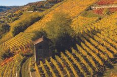 DEC280.adv_06_asti_spumante.dji_0045.jpg