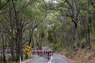 URAIDLA AUSTRALIA JANUARY 23 Julius Johansen of Denmark and UAE Team Emirates Xrg leads the peloton during the 25th Santos Tour Down Under 2025 Stage 3 a 1475km stage from Norwood to Uraidla 491m UCIWT on January 22 2025 in Uraidla Australia Photo by Dario BelingheriGetty Images