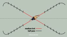 Web-diagrams6-1.jpg