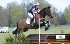 HorseNo311_Belton15pn_7701.jpg