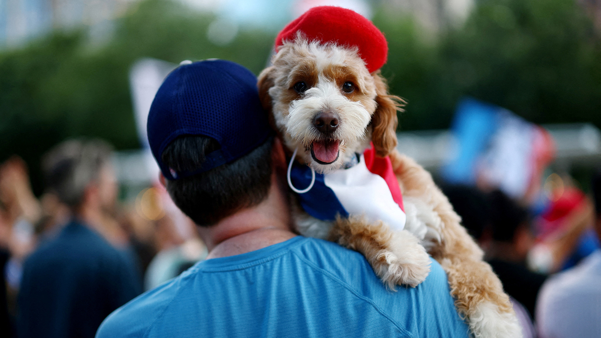 A dog wears a beret and tricolor bandana as football fans gather in Klyde Warren Park ahead of the FIFA World Cup semi-final between France and Spain, in Dallas, Texas