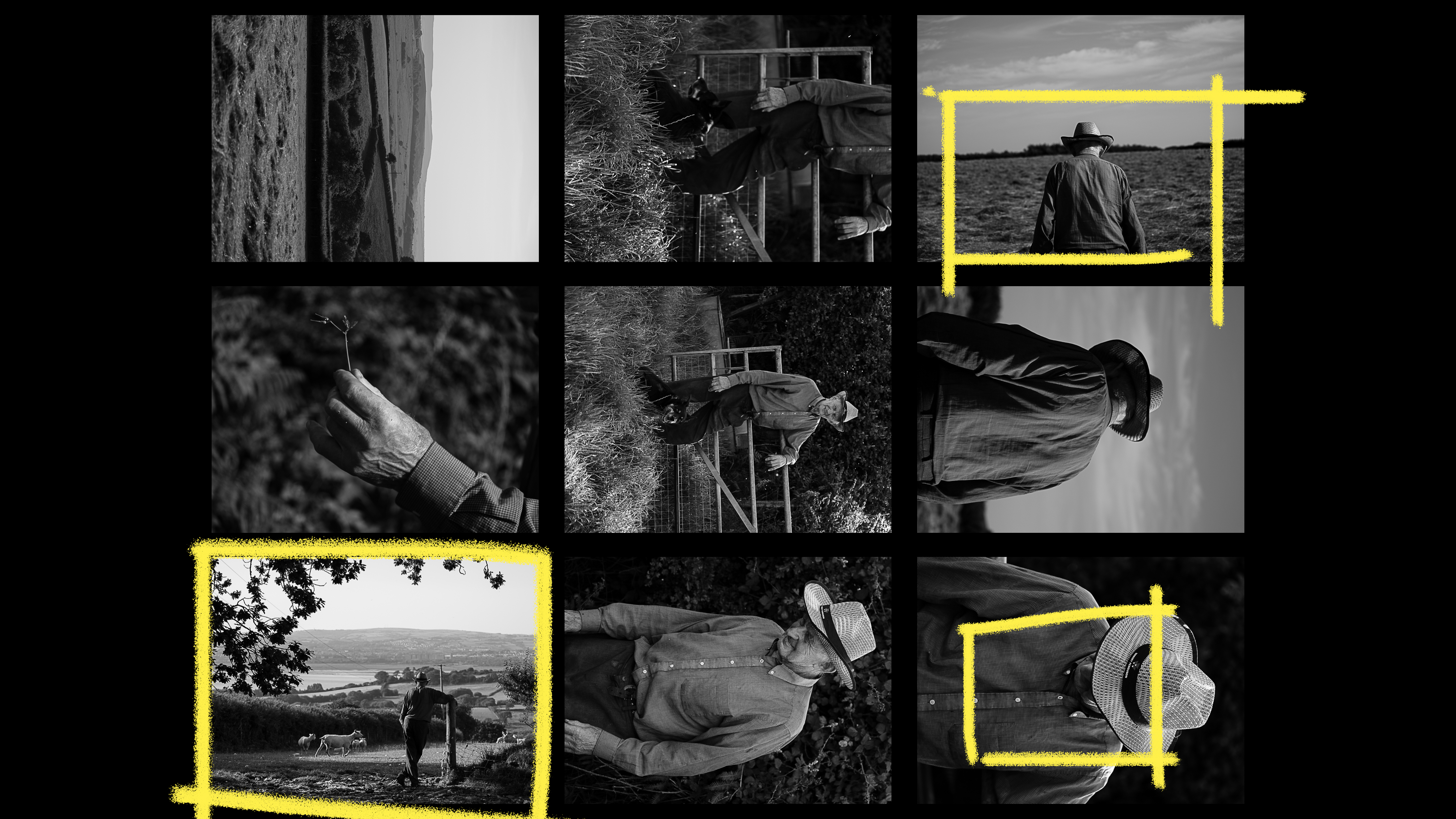 contact sheet