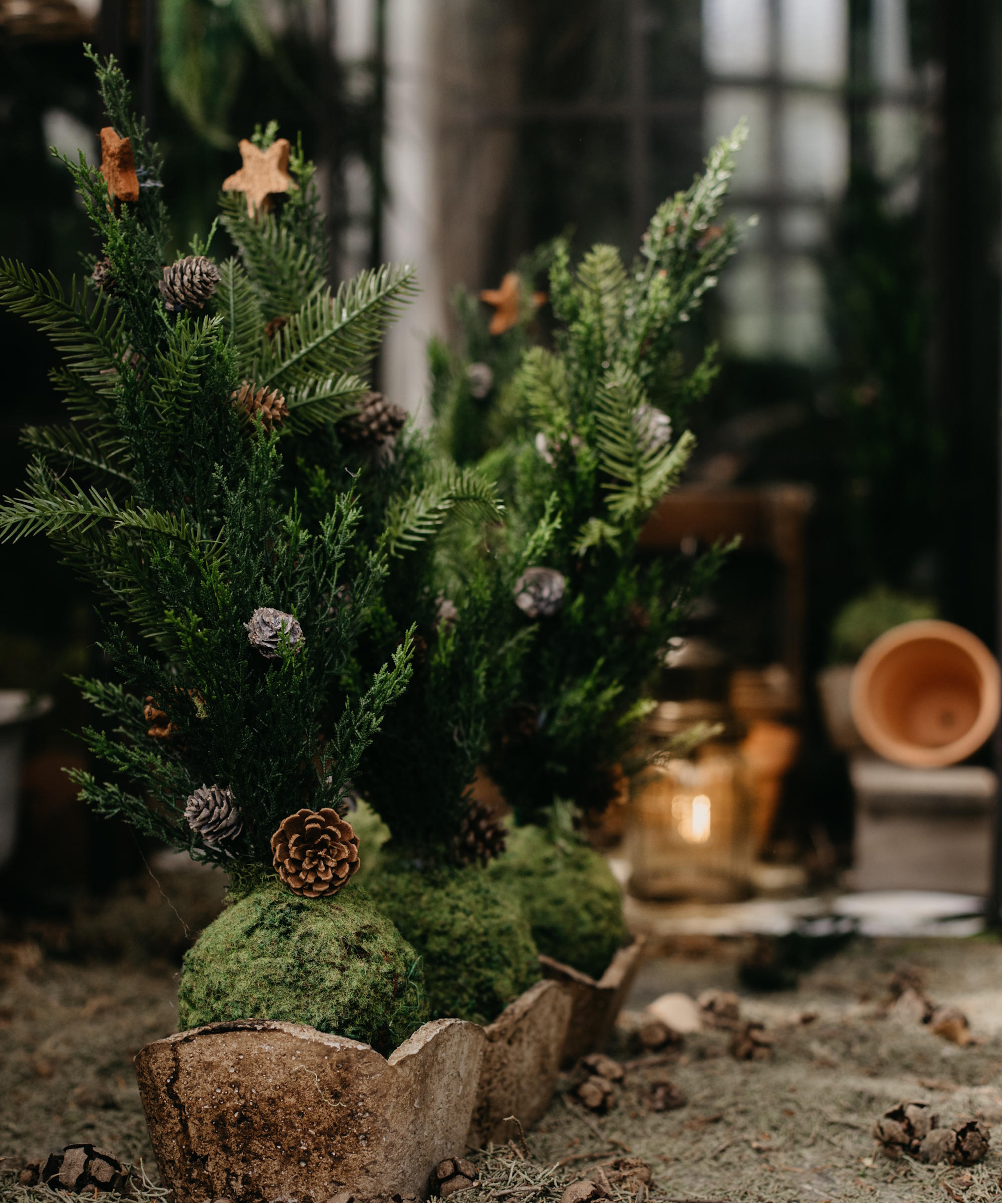 Kokedama tree with Christmas decorations on it