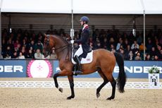 how to become a professional dressage rider