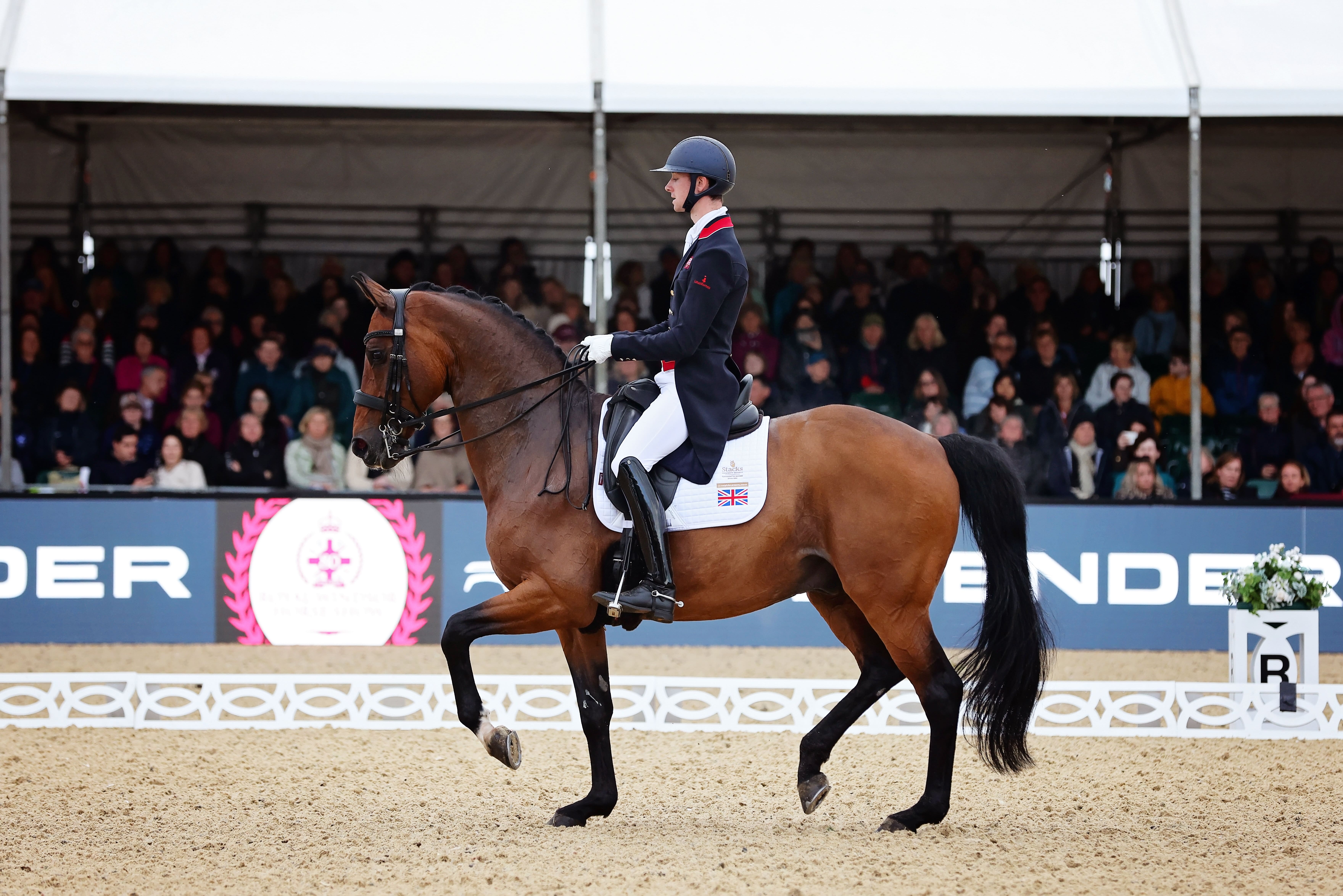 how to become a professional dressage rider