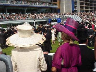 ascothats51.jpg