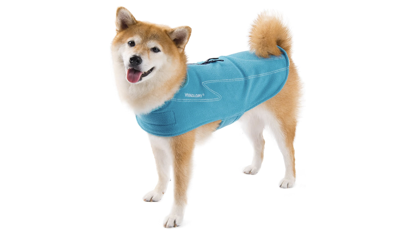 Vivaglory turquoise dog coat: best fleeces for dogs