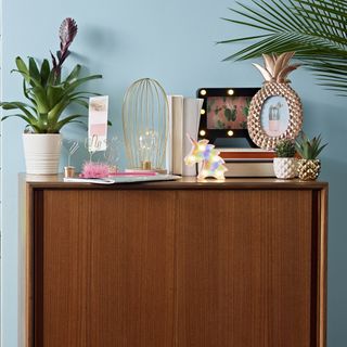 wooden vanity with potted plant and pineapple frame on it