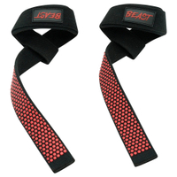 Alpha Designs Beast Premium Lifting Straps: was £17.99, now £9.99