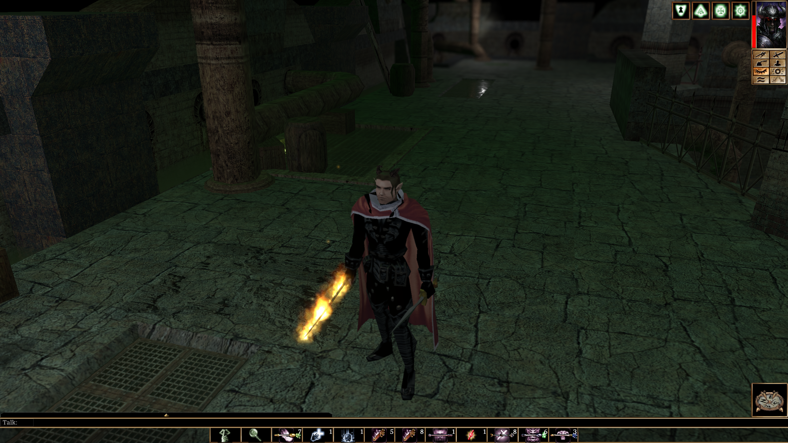 Neverwinter Nights Swordflight screenshot showing tiefling character dual wielding