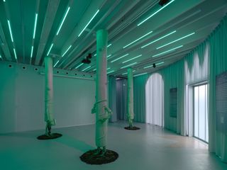 Green interior installation at Art Pavilion M