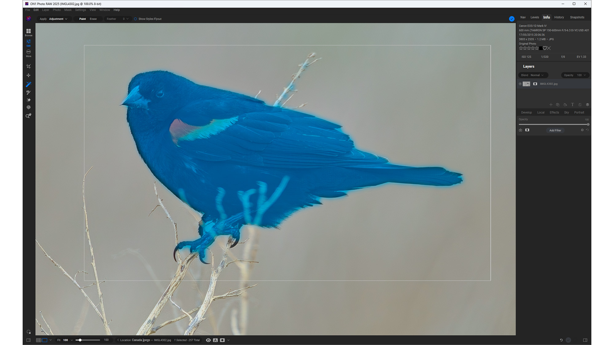 ON1 Photo Raw 2025