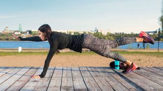 plank with arm and leg raise