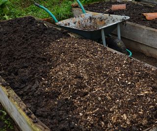 raised bed receiving a mulch in the fall