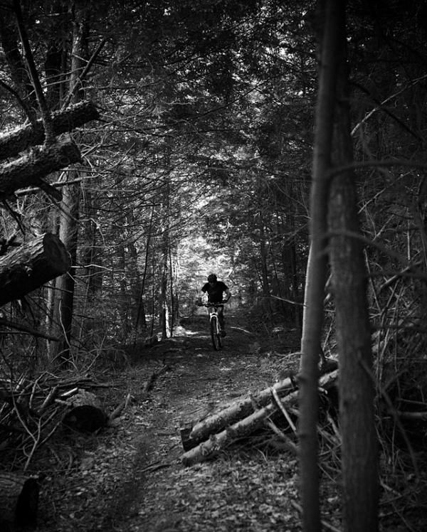 Dark woods of Pennsylvania