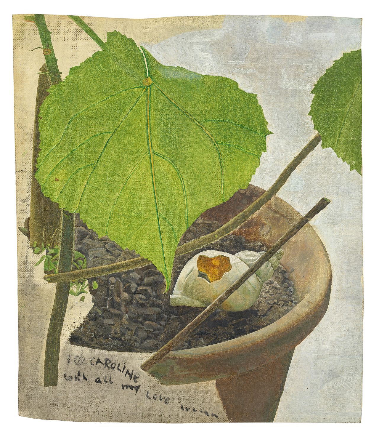 Lucian Freud’s Still Life with Zimmerlinde features in an exhibition of his plant and garden paintings at the Garden Museum, London. Still Life with Zimmerlinde, c.1950, by Lucian Freud. ©Christie&#039;s Images / The Lucian Freud Archive