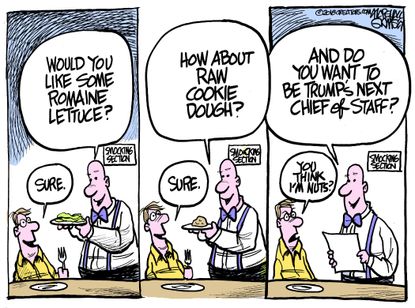 Political cartoon U.S. romaine lettuce recall cookie dough chief of staff job opening smocking room