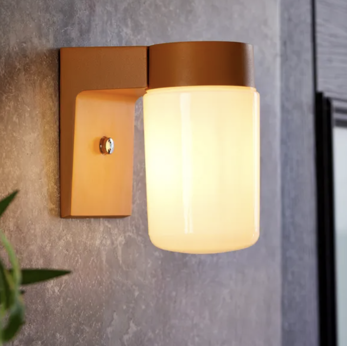 An outdoor wall light