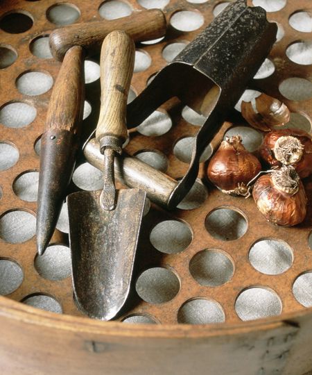 A bibber, along with a trowel and bulb planter, sitting on a soil sieve