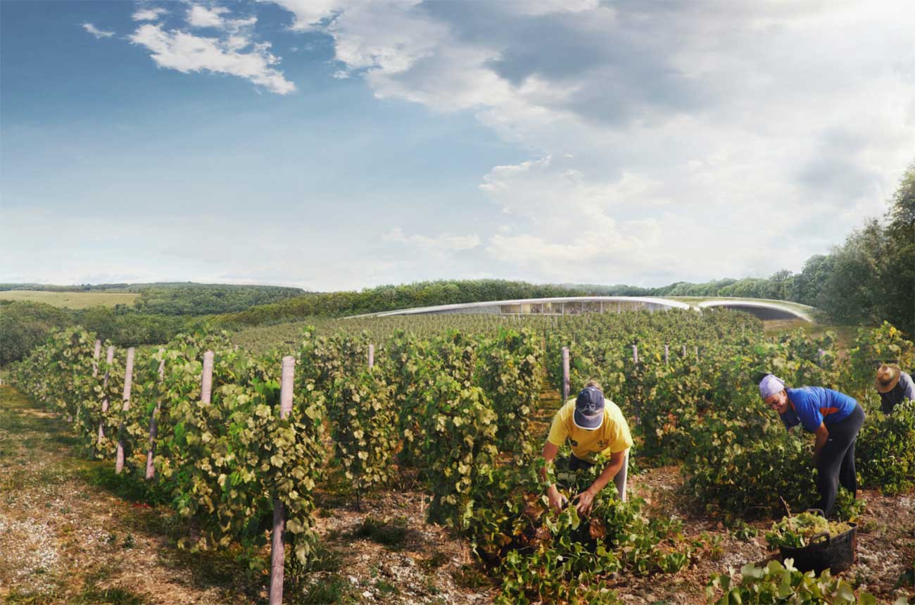 Lord Foster and his team have designed plans for a UK winery being proposed in Kent.