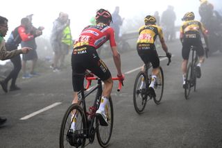 Stage 17 - Vuelta a España: Roglic tames Angliru for 1-2 finish with Vingegaard on stage 17