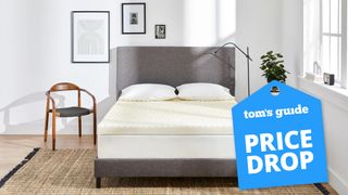 Image shows the Molecule Copperwell Mattress Topper on a white mattress placed on a dark wooden bedframe, with a blue Price Drop sales badge overlaid on the image