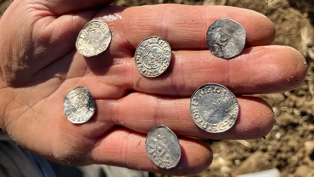 a person holds several silver coins in their hand