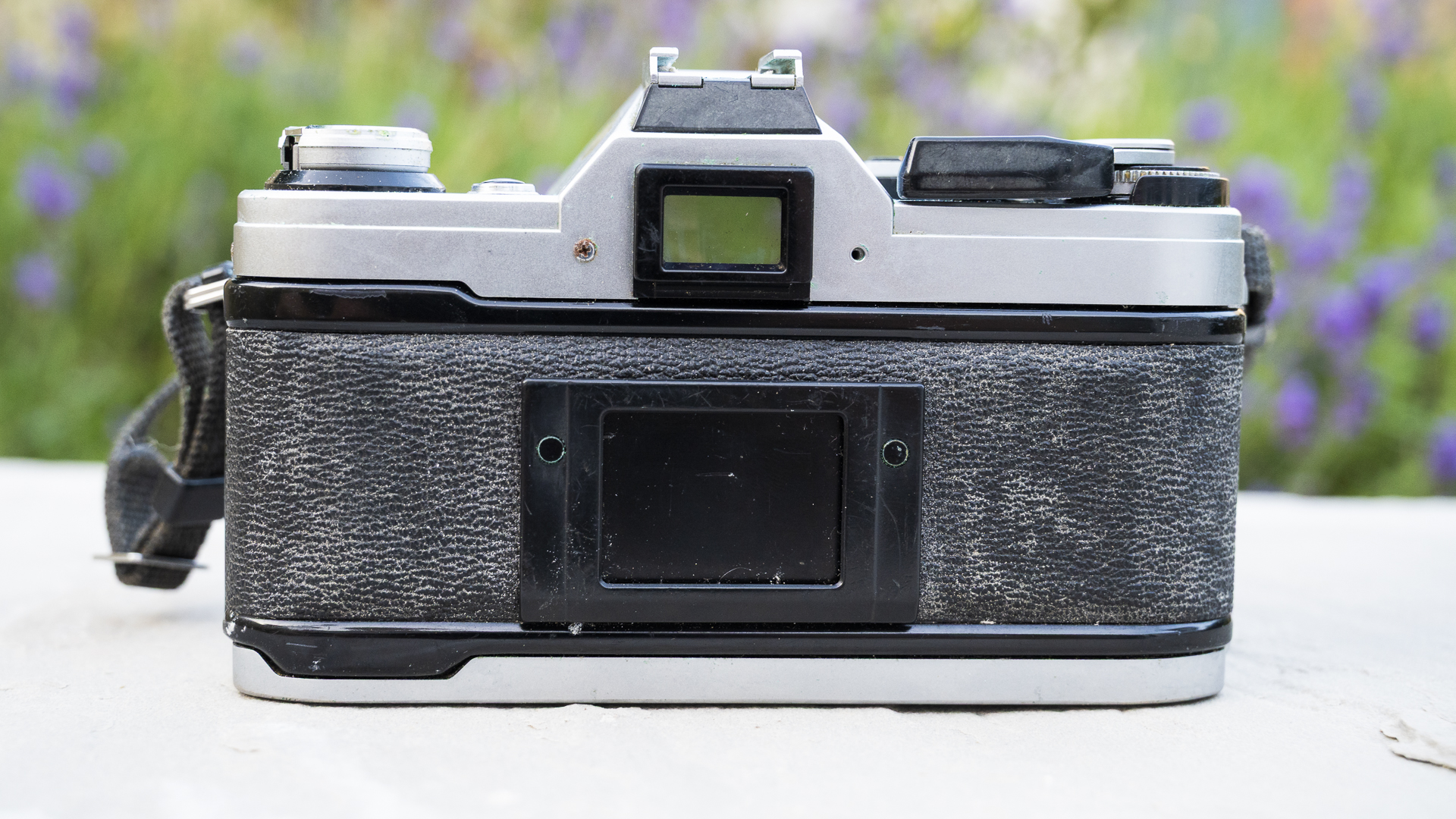 Canon AE-1 film SLR back view