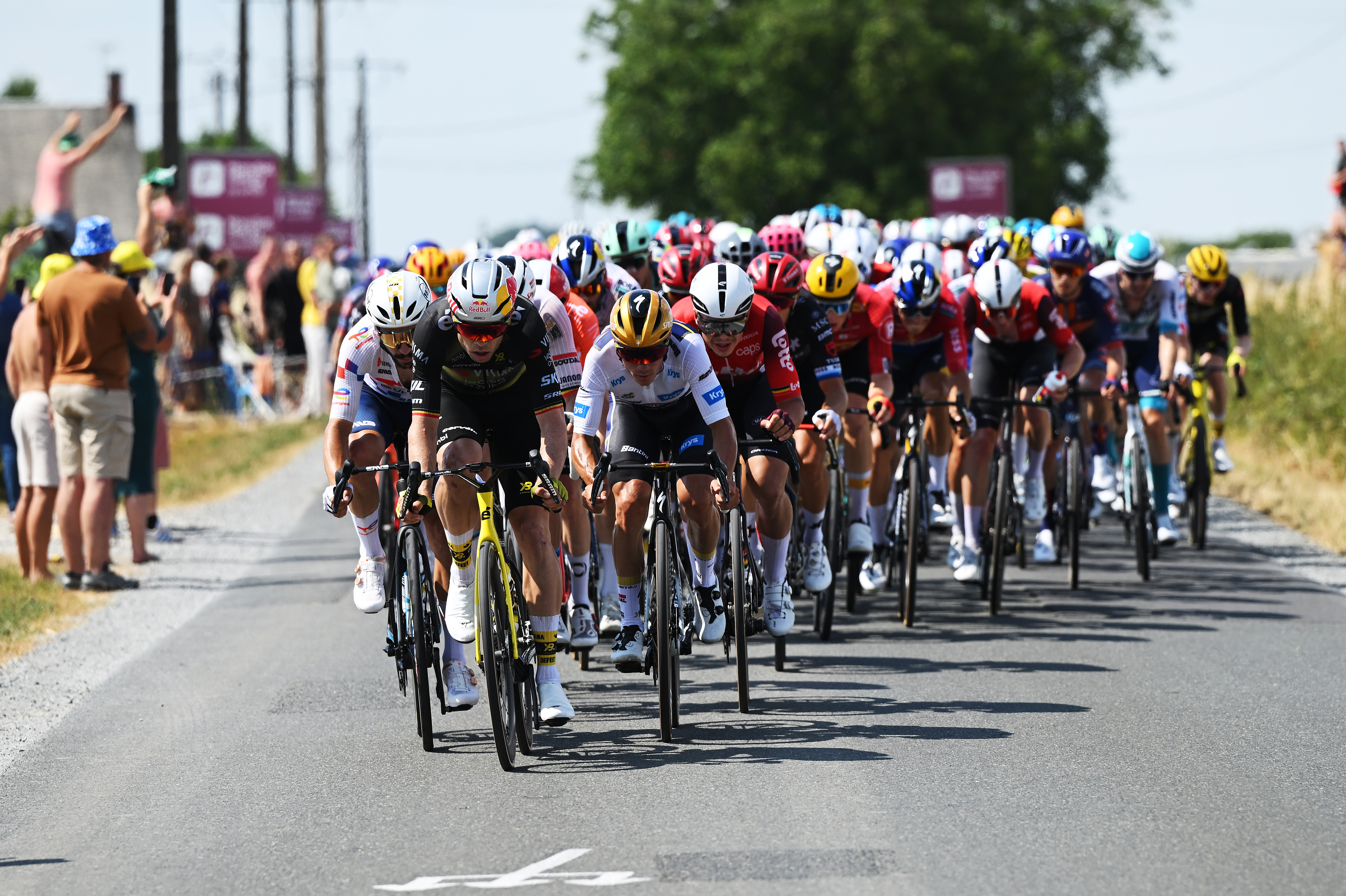 The Tour de France peloton in 2025