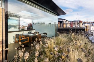 glass box home office in a grass filled roof top garden