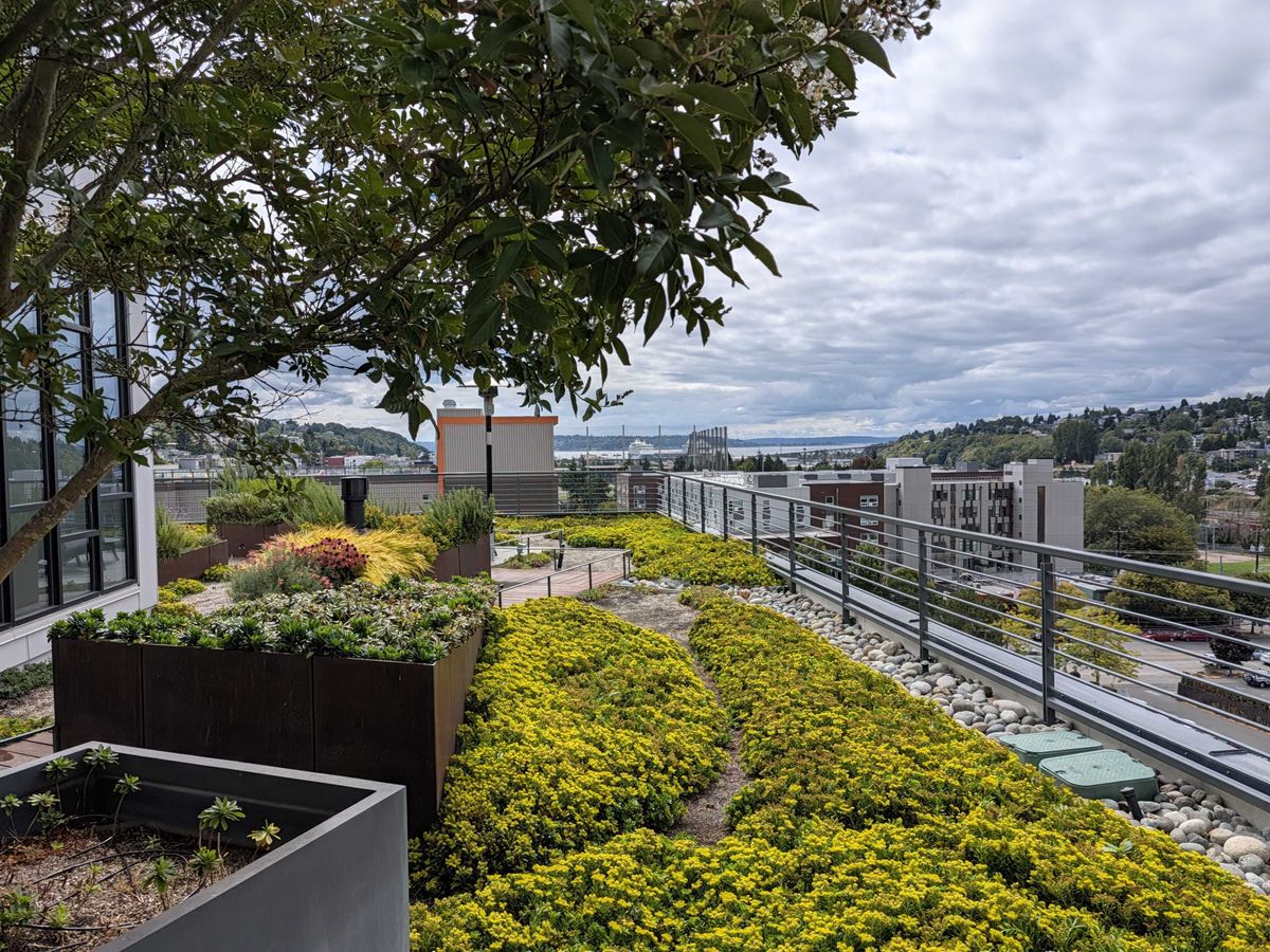 (1x) A rooftop with flowers and plants
