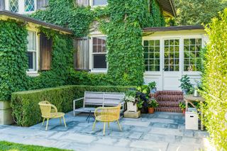 deck with house covered in ivy and yellow patio furniture