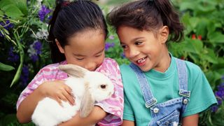 Two girls and rabbit