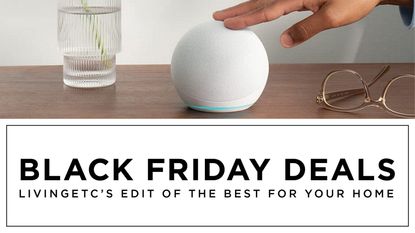 Amazon Echo Dot 5th Gen with Black Friday deals banner