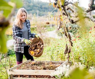 Woman places leaf debris in compost pile