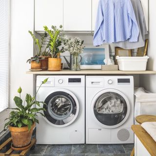 small laundry room with houseplants, washing machine and tumble dryer