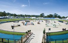Bolesworth International