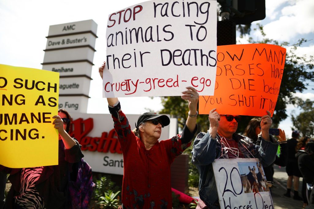 Anti-racing protesters outside of Santa Anita Park.