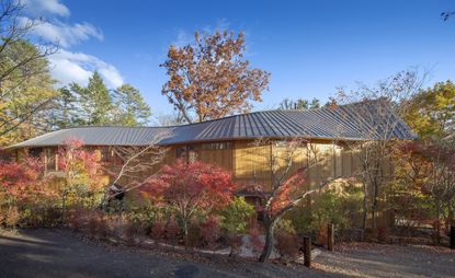 Exterior showing the smooth, curving wooden building behind a row of Japanese maple trees