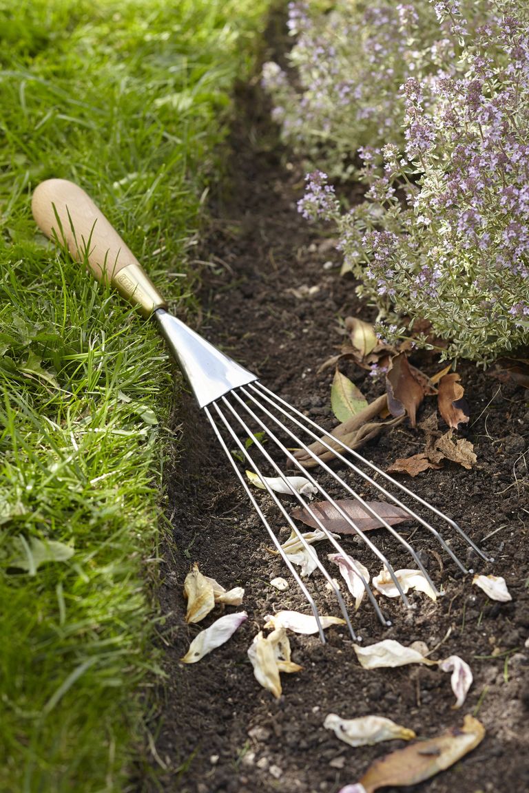 Gifts for gardeners | Real Homes