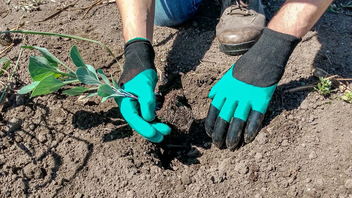 Best gardening gloves: