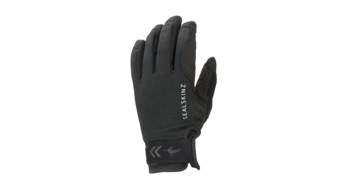 Sealskinz Waterproof All-Weather Glove review: a must-own pair of