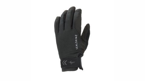 Sealskinz Waterproof All-Weather Glove