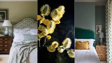 pollen-proof a bedroom