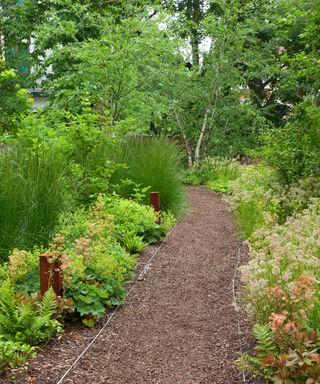 a garden path of wood bark with ferns, grasses and small trees either side