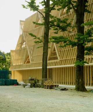 Timber frames at the 2021 Venice architecture biennale US pavilion