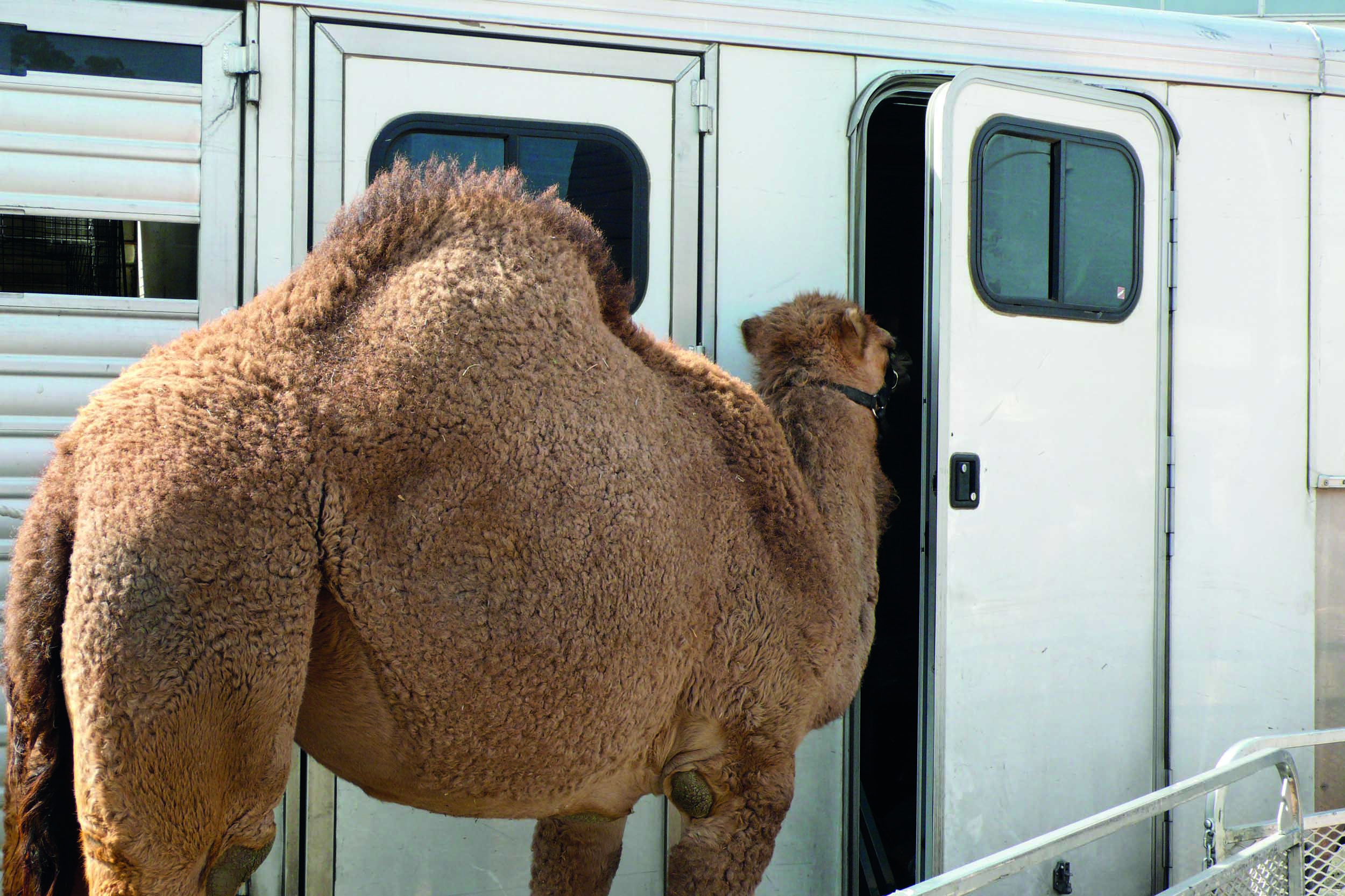 film sets photography captured by lauri gaffin for photobook &#039;Moving Still: A Cinematic Life Frame-by-Frame&#039;